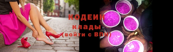 мет Бородино