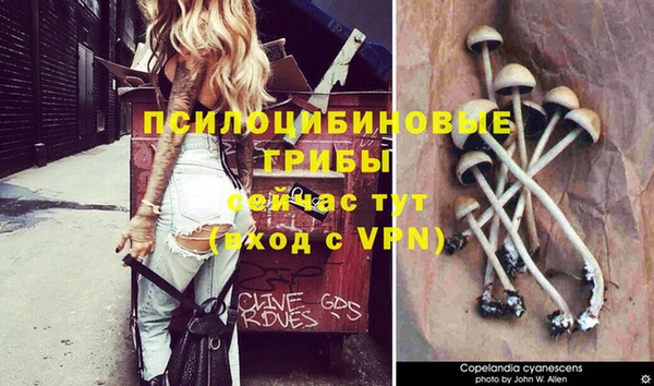 кокаин премиум Верея