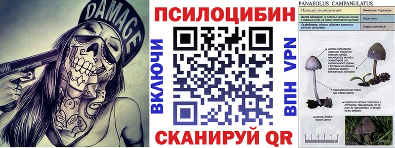 Псилоцибиновые грибы MAGIC MUSHROOMS  Купить закладки  Поронайск 