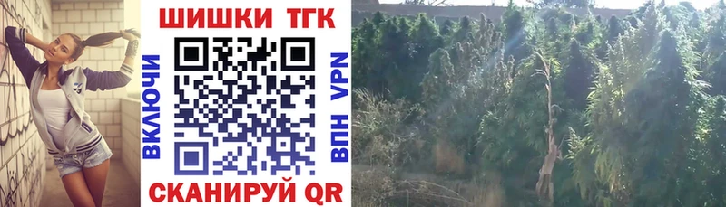 Шишки марихуана сатива Поронайск